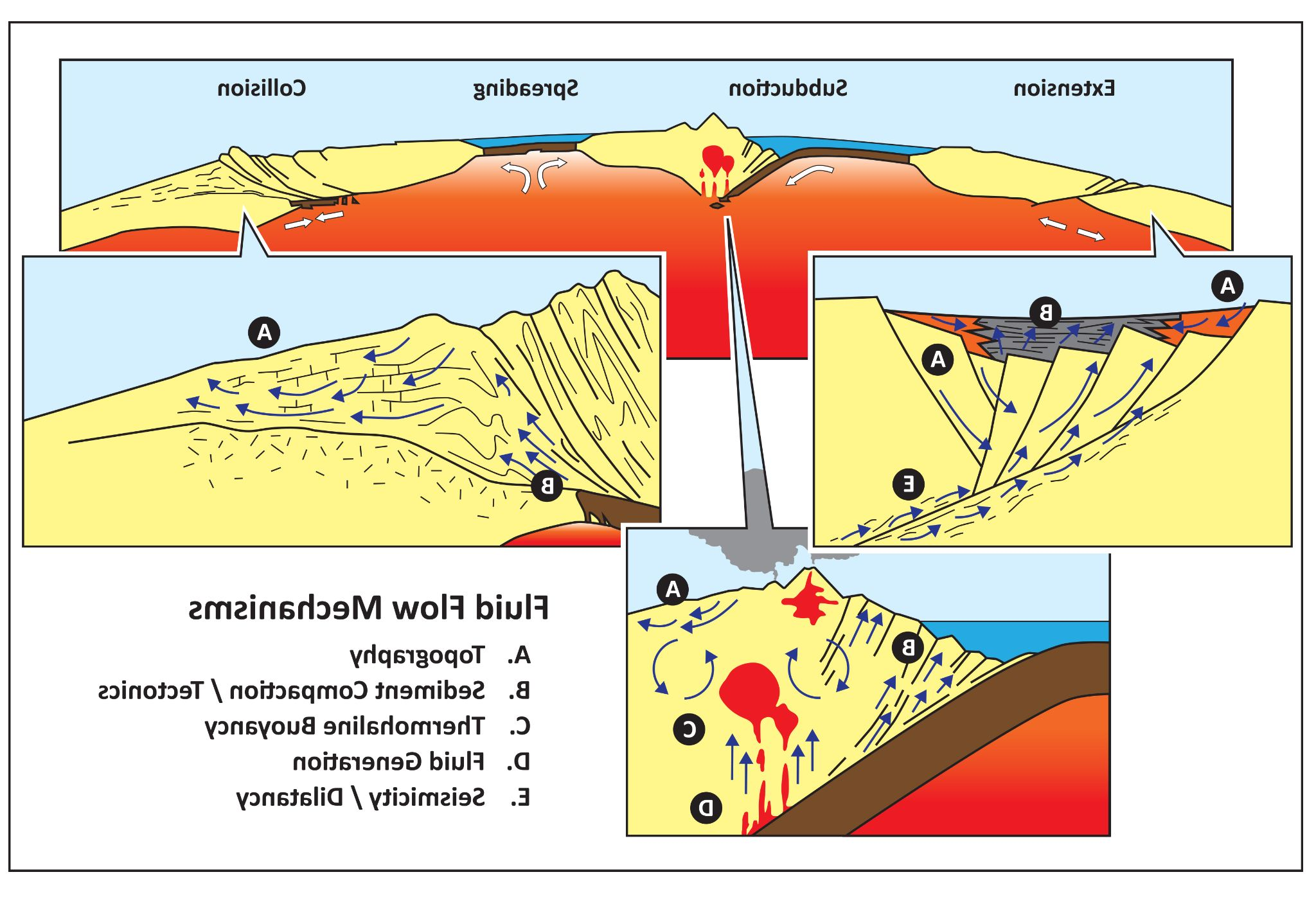 fluid-flow-model